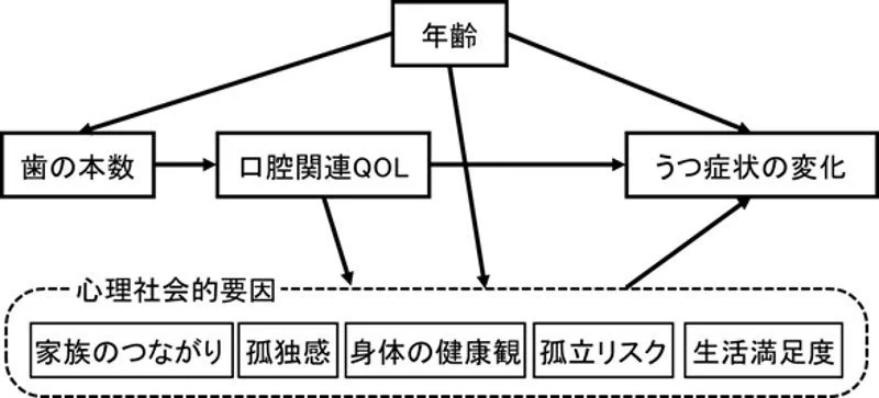 年齢、歯の本数、口腔関連QOL、心理社会的要因、うつ症状の変化の相互関係を示す概念図