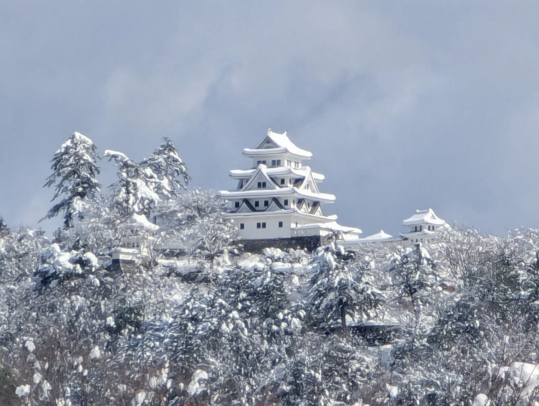 雪化粧した郡上八幡城