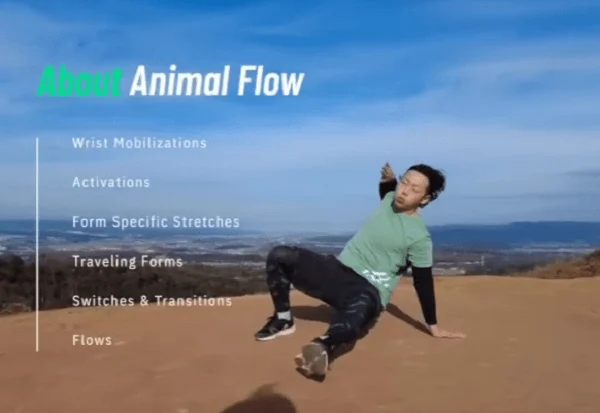 アニマルフローの動きをする男性