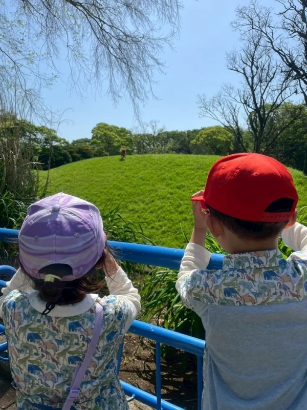 晴れた日に動物園かサファリパークを訪れた二人の子供が、柵越しに広がる緑の丘にいる動物を興味深げに眺めている様子。